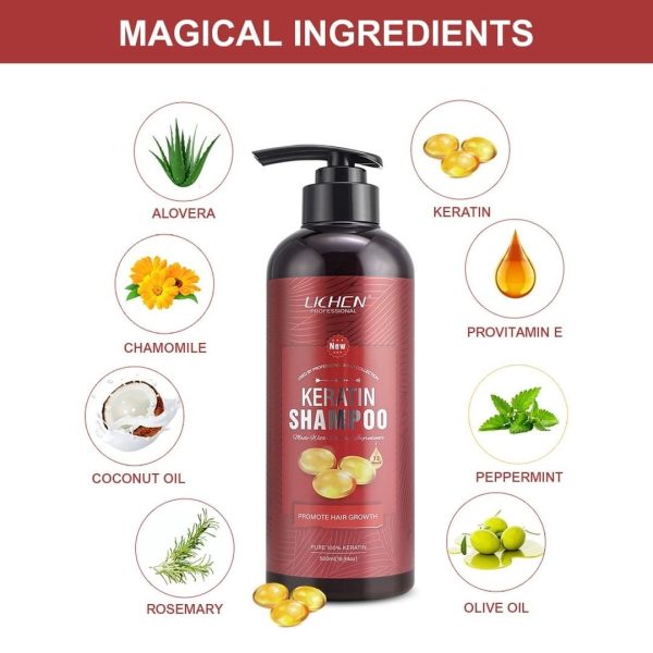 Lichen Keratin Enriched Shampoo 500ml – Sulfate And Paraben Free – Anti Frizz Treatment For Women And Men – Professional Salon Grade Repair Formula With Silk Protein For Dry, Frizzy Damaged And Color Treated Hair – Without Box